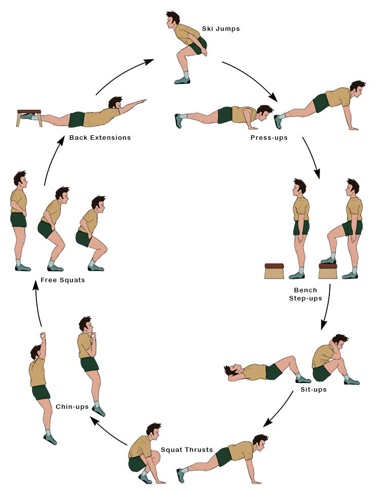 Circuit Training Mammoth Memory definition remember meaning